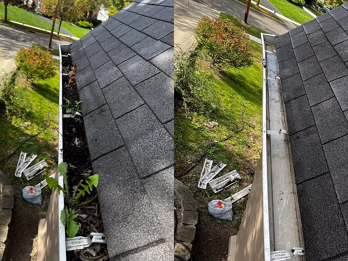 Gutter cleaning project photo