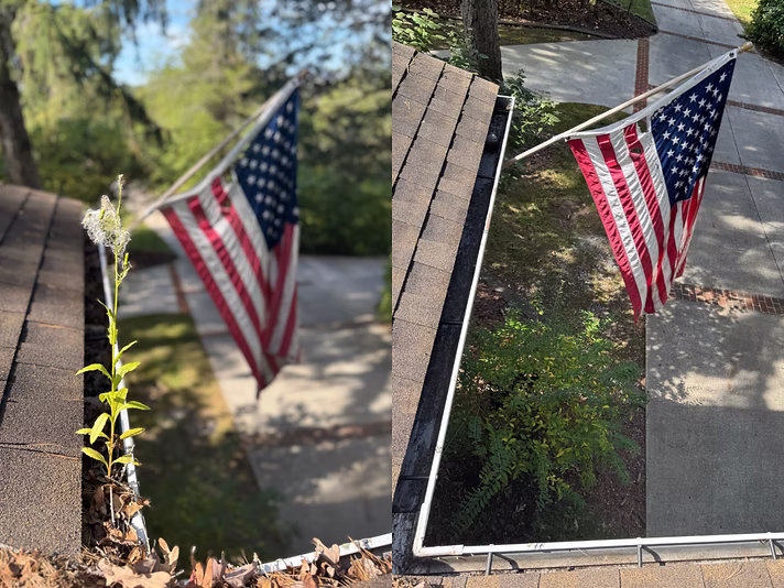 Gutter cleaning project photo
