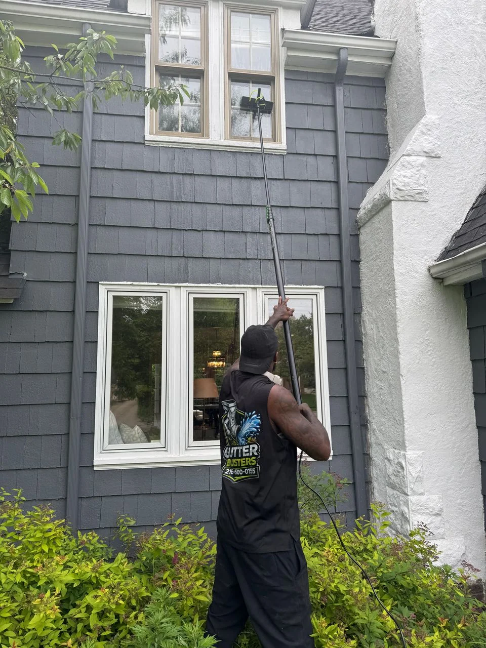 Professional cleaning windows with a water-fed pole